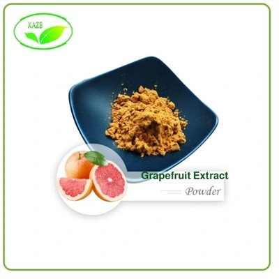 Grapefruit Extract Powder